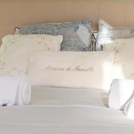 Les Trois Moulins - 10min Pont L'eveque - 10p Casa vacanze