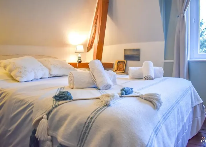 Tatil Evi Les Trois Moulins - 10min Pont L'eveque - 10p Les Authieux-sur-Calonne