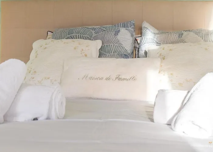 Les Trois Moulins - 10min Pont L'eveque - 10p Tatil Evi